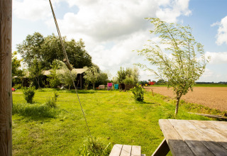 Groene weiden, bomen en picknickbank bij Feather Down Hoeve de Betuwe vakantiewoning in Gelderland, Nederland.