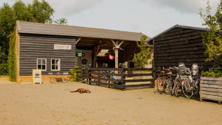 Entrada al parque vacacional Hoeve de Betuwe con bicicletas, cobertizos de madera y un perro, Gelderland.