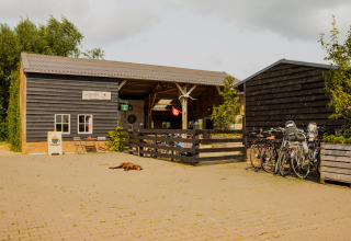 Entrance to Feather Down Hoeve de Betuwe holiday park with bikes, wooden barns and a dog, Gelderland.
