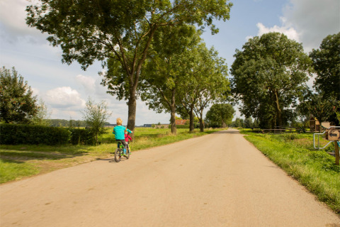 Un niño anda en bicicleta por un camino rural arbolado en Feather Down Hoeve de Betuwe, Gelderland.