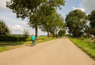 Un enfant fait du vélo sur une route de campagne bordée d’arbres à Feather Down Hoeve de Betuwe, Pays-Bas.