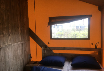 Interior view of Safari tent de luxe at Camping 't Veld in the Netherlands with beds and a window.
