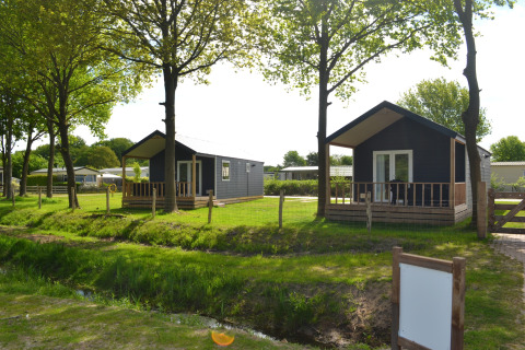 Due lodge moderni sulla spiaggia al Camping 't Veld nei Paesi Bassi, circondati da alberi e prato verde.