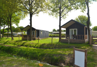 To moderne strandhytter på Camping 't Veld i Holland, omgivet af grønne træer og græsplæner.