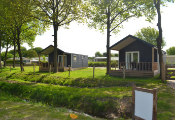 To moderne strandhytter på Camping 't Veld i Holland, omgivet af grønne træer og græsplæner.