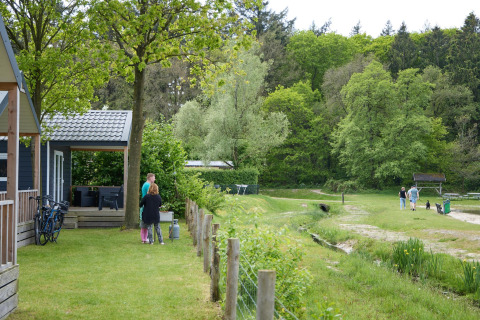 Vista de casa de playa en Camping 't Veld, Países Bajos, con personas, naturaleza verde y ambiente primaveral.