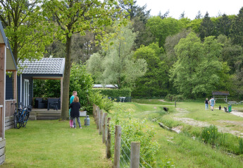 View of beach house lodge at Camping 't Veld, Netherlands, with people, lush greenery, and spring vibes.