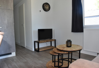 Sala de estar en Beach house lodge, Camping 't Veld, Países Bajos, con mesas de madera y decoración moderna.
