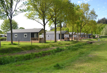 Row of modern beach lodges at Camping 't Veld in the Netherlands, surrounded by trees and greenery.
