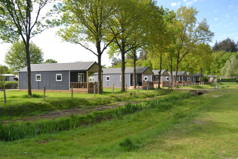 Række af moderne strandhytter omgivet af grønne træer ved Camping 't Veld i Holland på en solrig dag.