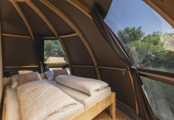 Knus glampingverblijf met comfortabele bedden en grote ramen met uitzicht op groene natuur.