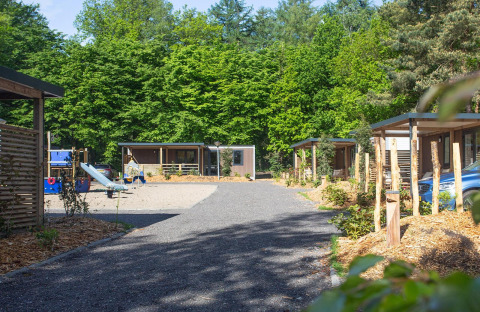 Outdoor image of the Family Cottage at De Thijmse Berg in the Netherlands, surrounded by trees and playground.