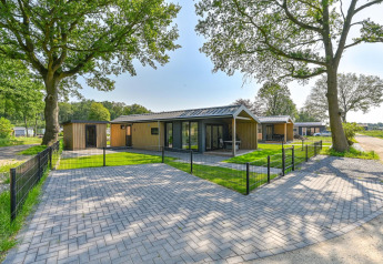 Lodge di lusso accessibile in sedia a rotelle a Drentse Weelde, Paesi Bassi, dal design moderno e giardini verdi.