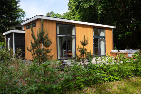 Modern Nature Lodge presso De Thijmse Berg nei Paesi Bassi, circondata da foresta e area relax esterna.