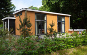 En moderne Nature Lodge ved De Thijmse Berg i Holland, omgivet af frodig skov og natur, set udefra.