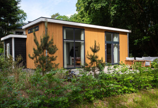Alojamiento moderno Nature Lodge en De Thijmse Berg, Países Bajos, rodeado de bosque y zona de estar exterior.