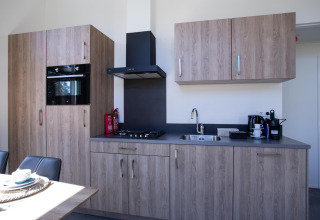 Cocina moderna en Nature Lodge en De Thijmse Berg, Países Bajos, con gabinetes y electrodomésticos de madera.