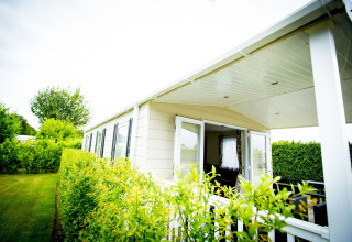 Tiny house Forest Lodge en Holiday Park Duinhoeve, Países Bajos, con terraza cubierta y setos verdes.