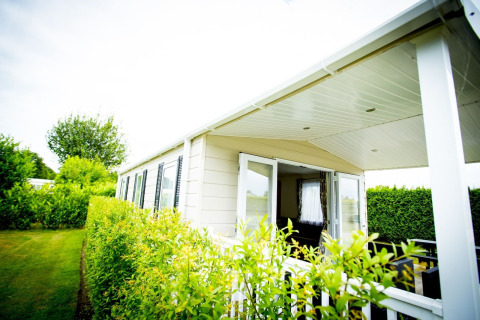 Tiny house Forest Lodge au Holiday Park Duinhoeve, Pays-Bas, avec terrasse couverte et haie verdoyante.