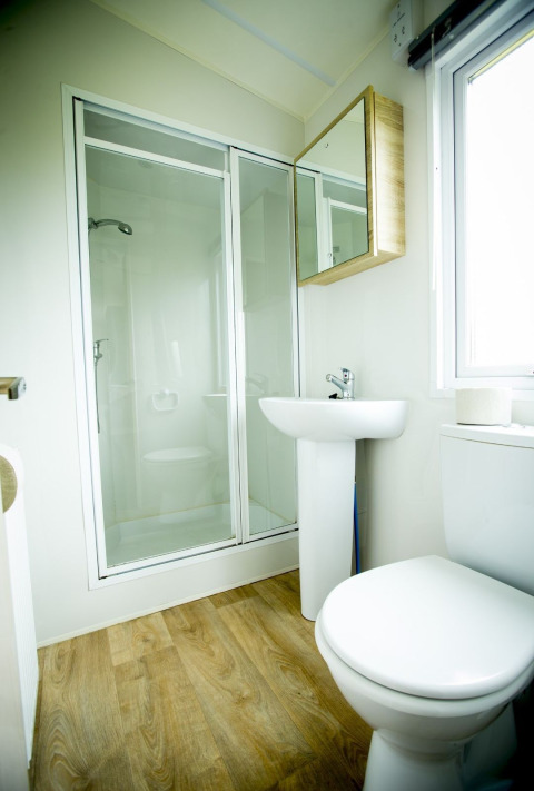 Baño moderno en la tiny house Forest Lodge en Holiday Park Duinhoeve, Países Bajos, con ducha y suelo de madera.