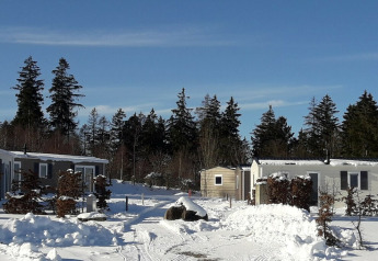 Chalets enneigés à Chalet Brilon dans Camping & Ferienpark Brilon, Allemagne, entourés de forêt hivernale.