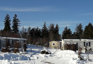 Cabañas nevadas en Chalet Brilon, Camping & Ferienpark Brilon, Alemania, rodeadas de bosque invernal.