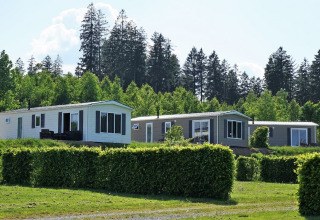 Cabañas modernas en Chalet Brilon del Camping & Ferienpark Brilon, rodeadas de arbustos y naturaleza verde.