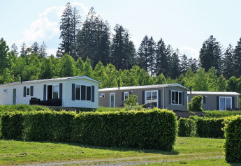 Cabañas modernas en Chalet Brilon del Camping & Ferienpark Brilon, rodeadas de arbustos y naturaleza verde.