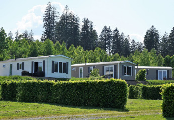 Chalets modernes au Camping & Ferienpark Brilon en Allemagne, entourés de haies vertes et de forêt boisée.