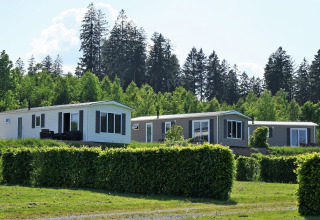 Chalets modernos en Camping & Ferienpark Brilon, Alemania, rodeados de setos verdes y bosque al fondo.