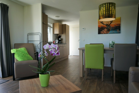 Sala moderna en Chalet Brilon, Camping & Ferienpark Brilon, Alemania, con detalles verdes y luz natural.