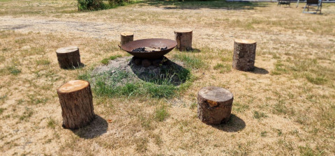 Udendørs bålplads med seks stubbe som siddepladser på en græsplæne ved et glampingsted i solskin.