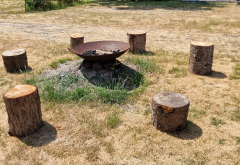 Falo all'aperto con sei tronchi come sedute su erba secca in una struttura glamping illuminata dal sole.