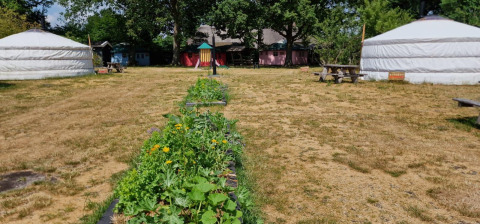Billede af et glamping-sted med to yurter, havebed og picnicborde på en græsplæne i solskin.