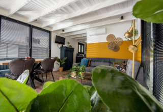 Salón moderno en la casa flotante 'De Waterparel' con decoración viva y plantas en Frisia, Países Bajos.
