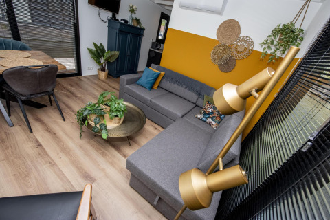 Sala moderna en Houseboat De Waterparel en Frisia, con sofá gris, plantas y decoraciones llamativas.