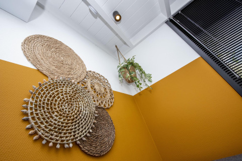 Decoración de pared y planta colgante en una esquina moderna con pared mostaza en una casa flotante en Friesland.