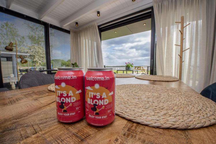 Two cans of blond beer on a wooden table inside a modern houseboat in Friesland, Netherlands, with view.