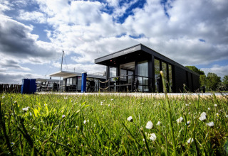 Low-angle view of houseboat 'De Waterparel' at Welcome In - Friesland, Netherlands, with grass in front.