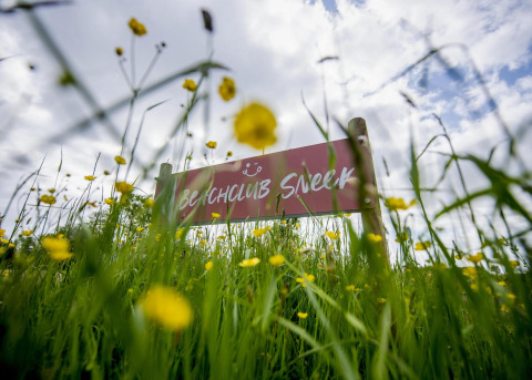 Sign for Beachclub Sneek seen through wildflowers and grass at Houseboat 'De Waterparel' in Friesland, Netherlands.