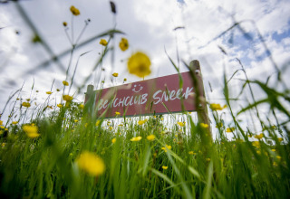 Sign for Beachclub Sneek seen through wildflowers and grass at Houseboat 'De Waterparel' in Friesland, Netherlands.