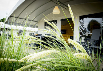 Tenda safari Tent Villa presso Holiday Park Duinhoeve nei Paesi Bassi, erbe in primo piano.
