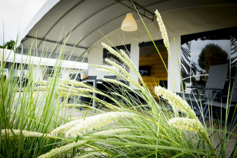 Safaritent Tent Villa in Vakantiepark Duinhoeve in Nederland met gras op de voorgrond.