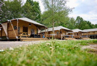 Safari tents Villatent Cottage lined up at Vakantiepark Sallandshoeve, surrounded by greenery in the Netherlands.