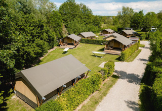 Fünf Villatent Compact Safarizelte auf einem grünen Campingplatz mit Hängematten und dichter Vegetation.