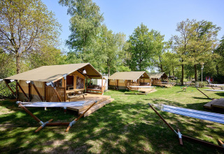 Tiendas safari con porches y hamacas en Recreatiepark de Lucht, Países Bajos, rodeadas de árboles verdes.