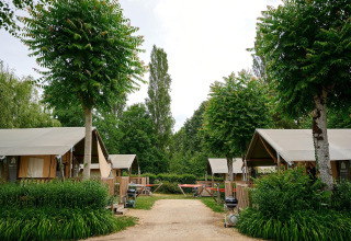 Tiendas safari Villatent Nomad en Camping Le Coin Tranquille, Francia, rodeadas de vegetación y árboles.