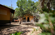 Tienda safari Villatent Nomad en Camping Leï Suves, Francia, rodeada de árboles y una hamaca afuera.