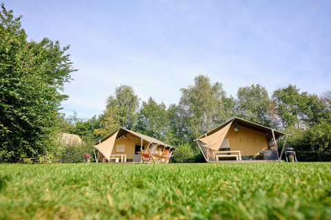 Dos tiendas safari en césped, Villatent Nomad en Camping de Papillon, rodeadas de árboles en Holanda.