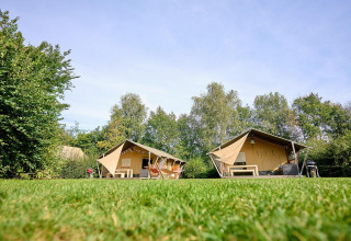 Twee safaritenten op grasveld, Villatent Nomad bij Camping de Papillon, omgeven door bomen in Nederland.